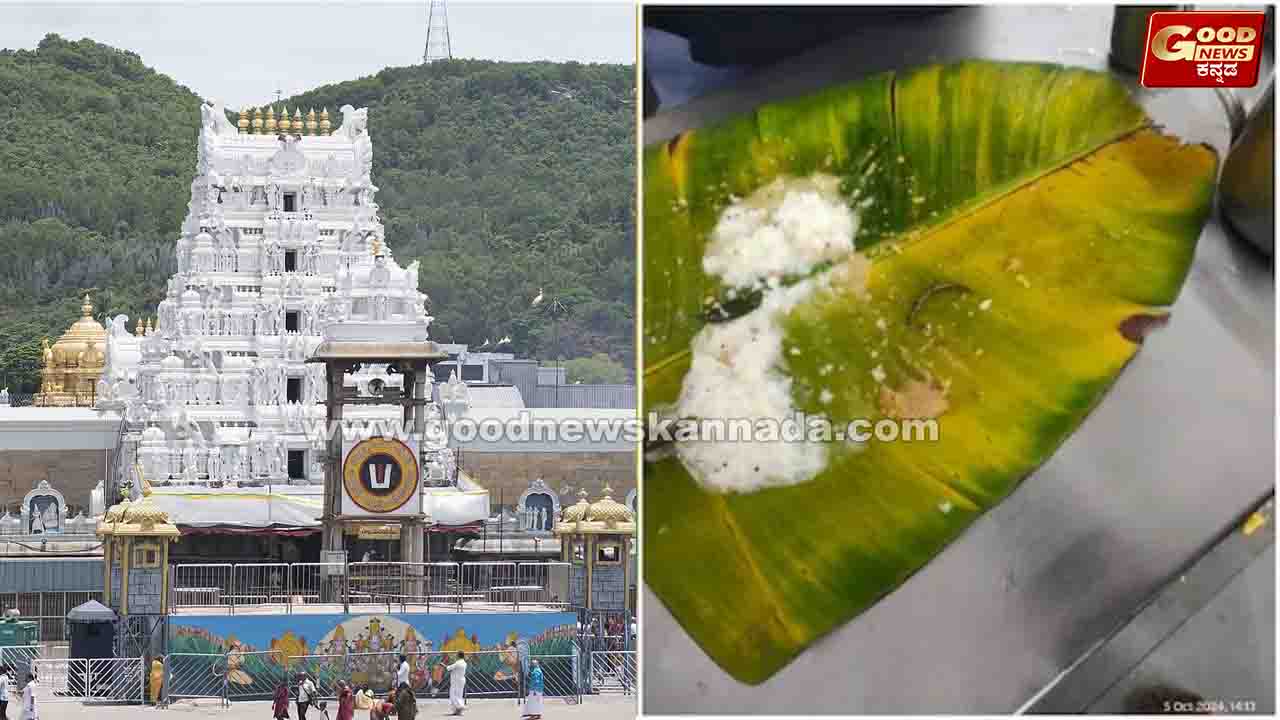 ತಿರುಪತಿಯ ಪ್ರಸಾದದಲ್ಲಿ ಹುಳುಗಳು ಪತ್ತೆ