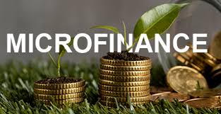 ಮೈಕ್ರೋ ಫೈನಾನ್ಸ್ ಕಿರುಕುಳದಿಂದ ಬೀದಿಗೆ ಬಿದ್ದ ಕುಟುಂಬ.