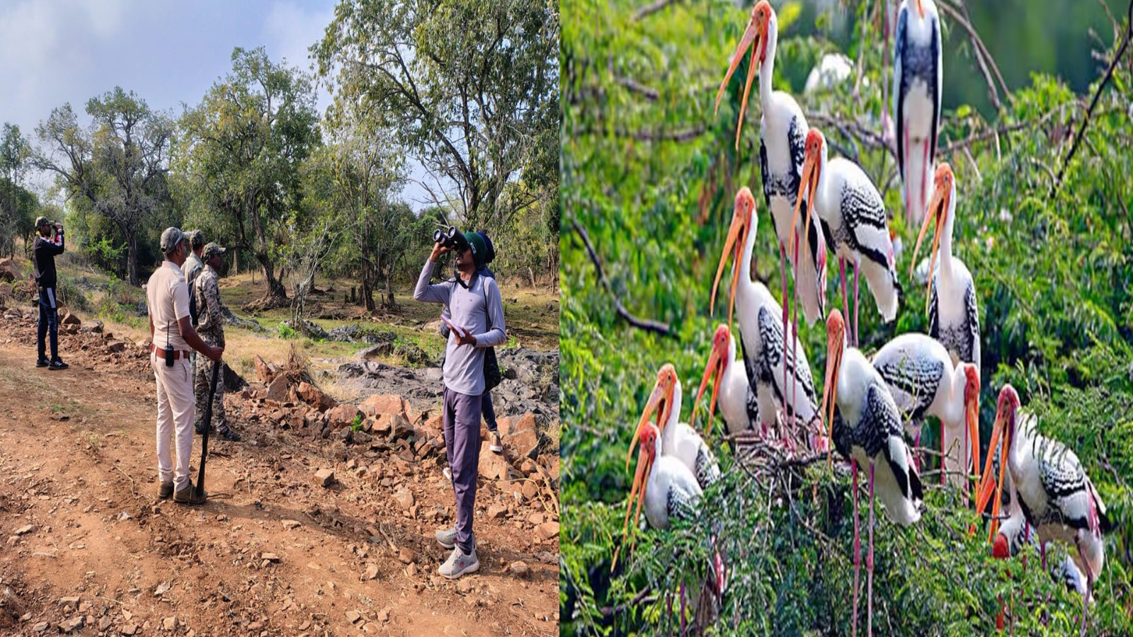 253 ಪ್ರಭೇದದ ಪಕ್ಷಿಗಳು,  ಮಲೆಮಹದೇಶ್ವರ ವನ್ಯಜೀವಿ ಧಾಮದಲ್ಲಿ ಪತ್ತೆ.