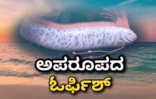 2025ಕ್ಕೆ ವಿಶ್ವವೇ ಅಂತ್ಯ ಕಾಣಲಿದೆ ಅಂತೆ. ಇದು ನಿಜಾನಾ, ಹೀಗೆ ಹೇಳಲು ಕಾರಣವಾದರೂ ಏನು?