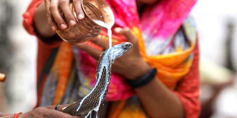 ಸರ್ಪ ದೋಷ ನಿವಾರಣೆಗೆಂದು ತನ್ನ ಮಗಳನ್ನೇ ನರಬ*ಲಿ ನೀಡಿದ ಕ್ರೂರ ತಾಯಿ…..