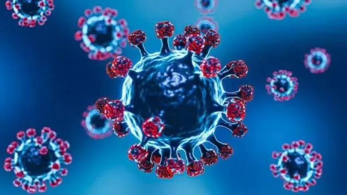 40 ಜನರಿಗೆ ರಾಜ್ಯದಲ್ಲಿ ಕೊರೊನಾ ಸೋಂಕು ದೃಢ.