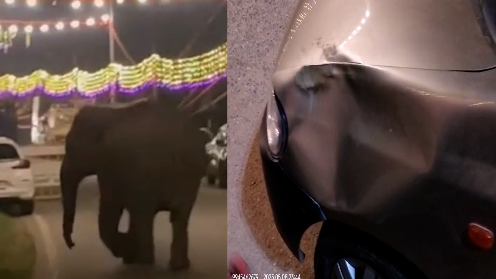 ದೇಗುಲದ ಪುನರ್ ಪ್ರತಿಷ್ಠಾಪನೆ ವೇಳೆ ದಾಂಧಲೆ ಮಾಡಿದ ಕಾಡಾನೆ.