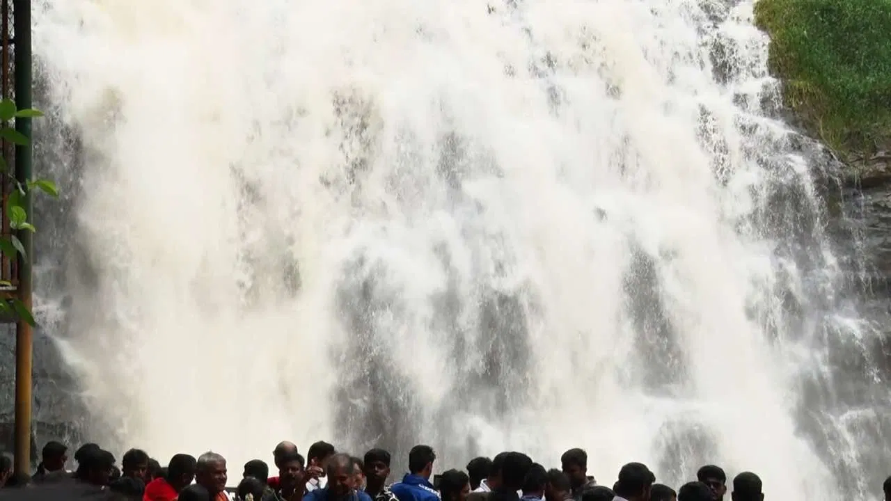 ಮುಂಗಾರು ಮಳೆಗೆ ಮೈತುಂಬಿ ಹರಿಯುತ್ತಿವೆ ಕೊಡಗಿನ ಜಲಪಾತಗಳು….