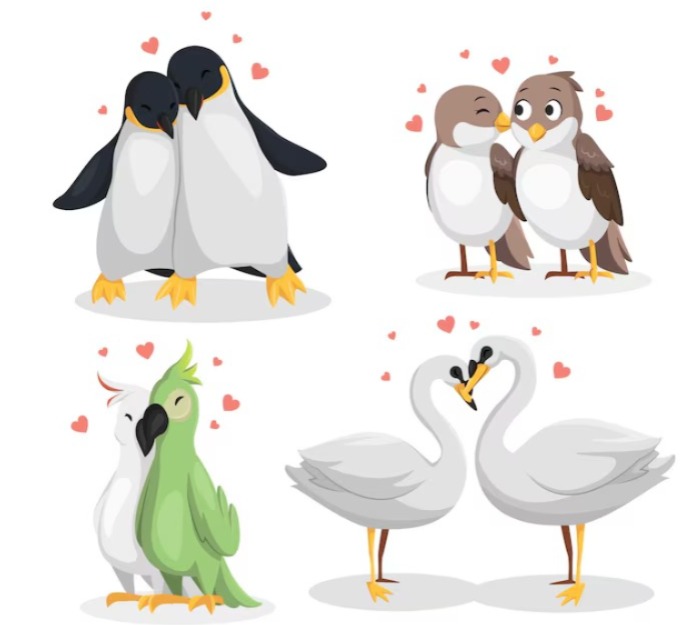 ತಮ್ಮ ಸಂಗಾತಿಗಳಿಗೆ ಬಲು ನಿಷ್ಠೆಯಿಂದಿರುವ ಜೀವಿಗಳಿವು;