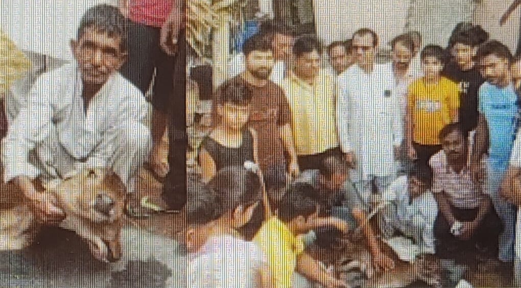 2 ತಲೆ, 3 ಕಣ್ಣುಗಳೊಂದಿಗೆ ಜನಿಸಿದ ಕರು;ಪೂಜೆ, ಆರಾಧನೆಯನ್ನು ಮಾಡತೊಡಗಿದ ಜನರು….