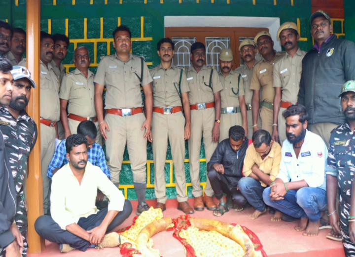 ವಾಲ್ಪಾರೈ ಅರಣ್ಯ ಪ್ರದೇಶದಲ್ಲಿ ಆನೆದಂತ ಮಾರಾಟಕ್ಕೆ ಯತ್ನ: ಅರಣ್ಯ ಸಿಬ್ಬಂದಿ ಸೇರಿ ಐವರ ಬಂಧನ.