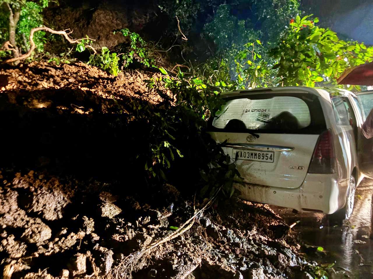 ಶಿರಾಡಿ ಘಾಟ್‌ನಲ್ಲಿ ಭೂಕುಸಿತದಿಂದ ಕಾರುಗಳ ಮೇಲೆ ಬಿದ್ದ ಮರ