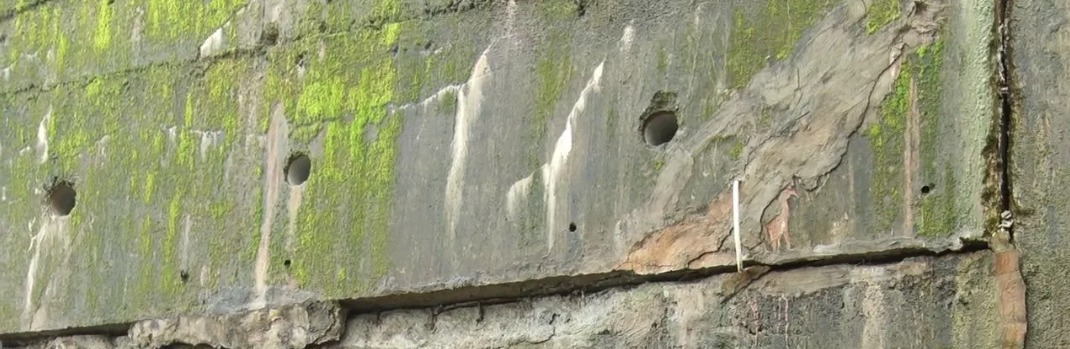 ಮಂಗಳೂರು ಮಡಿಕೇರಿ ರಾಷ್ಟ್ರೀಯ ಹೆದ್ದಾರಿಯಲ್ಲಿ ಭೂಕುಸಿತ ಸಂಭವಿಸುವ ಭೀತಿ: ತಡೆಗೋಡೆಯಲ್ಲಿ ಭಾರೀ ಬಿರುಕು.!