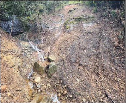 ಮಡಿಕೇರಿ ವಿರಾಜಪೇಟೆ ಬಳಿಯ ಅರಣ್ಯ ಪ್ರದೇಶದಲ್ಲಿ ಭೂ ಕುಸಿತ!