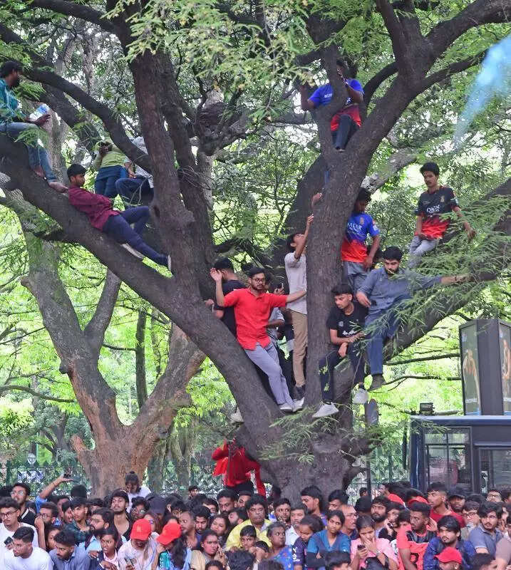 ಆರ್‌ಸಿಬಿ, ಕೆಎಸ್‌ಸಿಎಗೆ ಮತ್ತೊಂದು ಬಿಗ್ ಶಾಕ್ !!..ಹೈಕೋರ್ಟ್ ಮೆಟ್ಟಿಲೇರಿದ ಕಬ್ಬನ್ ಪಾರ್ಕ್ ಅಸೋಸಿಯೇಷನ್….