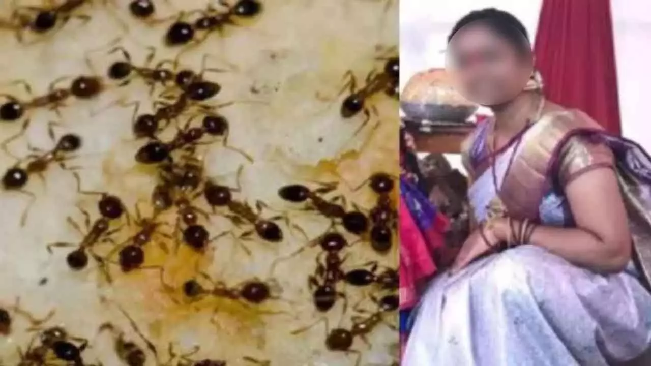 ಇರುವೆಗಳಿಗೆ ಹೆದರಿ ಆ*ಹ*ಗೆ ಶರಣಾದ  ಮಹಿಳೆ!