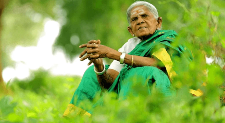 ವೃಕ್ಷಮಾತೆ ಸಾಲುಮರದ ತಿಮ್ಮಕ್ಕ ಇನ್ನಿಲ್ಲ