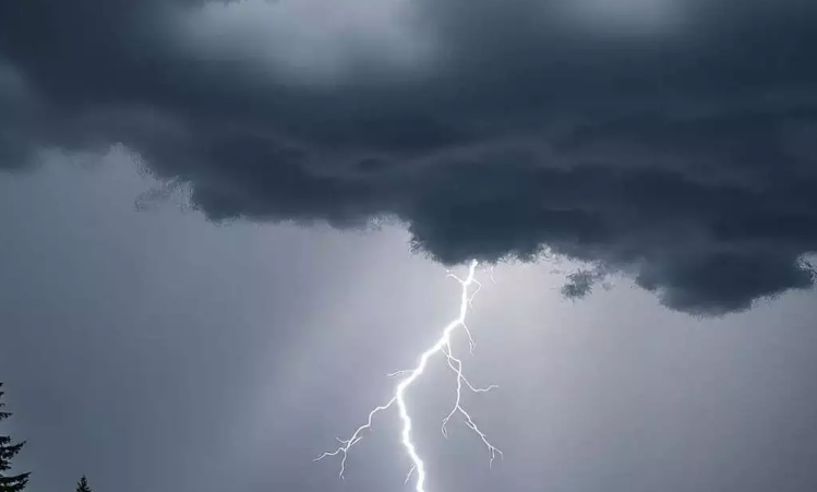 ಸಕಲೇಶಪುರದಲ್ಲಿ ಕಾಫಿ ತೋಟದಲ್ಲಿ ಸಿಡಿಲು ಬಡಿದು ಐವರು ಮಹಿಳಾ ಕಾರ್ಮಿಕರಿಗೆ ಗಾಯ; ಒಬ್ಬರ ಸ್ಥಿತಿ ಗಂಭೀರ.