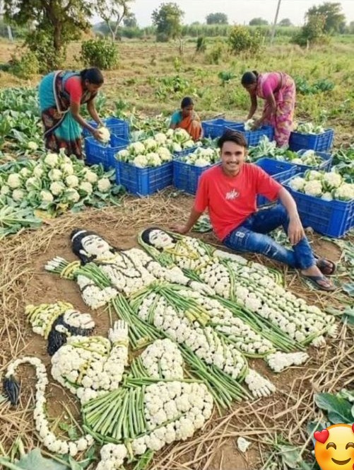 ಹೂಕೋಸಿನಲ್ಲಿ ಮೂಡಿ ಬಂದ ರಾಮ, ಸೀತೆ, ಹನುಮಂತ;ಇದು ರೈತನ ವಿಭಿನ್ನ ರಾಮನವಮಿ ಸೆಲೆಬ್ರೇಶನ್