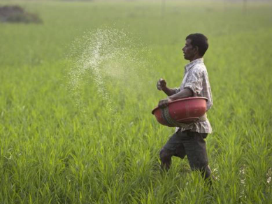 ಸೊಸೈಟಿಗಳ ಮೂಲಕವೇ ಬೆಳೆ ಖರೀದಿ-ಮಾರಾಟ: ರೈತರ ಸ್ವಾವಲಂಬನೆಗೆ ಹೊಸ ಯೋಜನೆ.