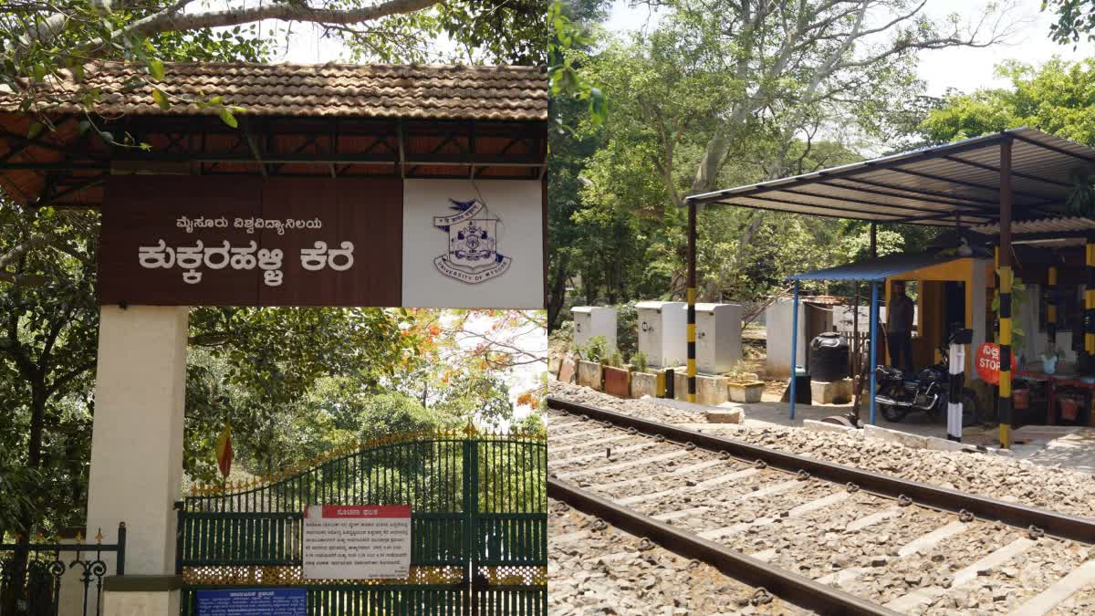 ಮೈಸೂರಿನ ಕುಕ್ಕರಹಳ್ಳಿ ಕೆರೆ ಬಳಿ ರೈಲ್ವೆ ಅಂಡರ್ ಪಾಸ್ ನಿರ್ಮಾಣಕ್ಕೆ ಸಿದ್ಧತೆ!