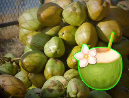 ಬಿಸಿಲ ಬೇಗೆಗೆ ಜನ ಹೈರಾಣು: ಶತಕದತ್ತ ಎಳನೀರು ಬೆಲೆ, ಗ್ರಾಹಕರಿಗೆ ದರ ಏರಿಕೆ ಬಿಸಿ!