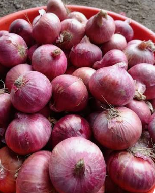 ಈರುಳ್ಳಿ ಅಭಾವ ಮತ್ತು ಬೆಲೆ ಏರಿಕೆ ಭೀತಿ